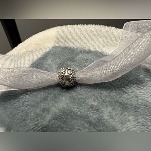 Retired Pandora Charm